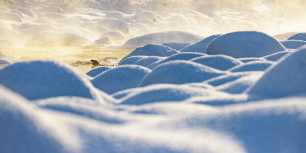 Fossekall i vinterelv, fotokunst veggbilde / plakat av Terje Kolaas