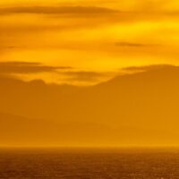 Havsule mot soloppgangen, fotokunst veggbilde / plakat av Terje Kolaas