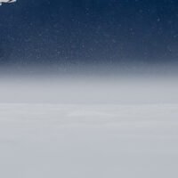 Snøugle i snø, fotokunst veggbilde / plakat av Terje Kolaas