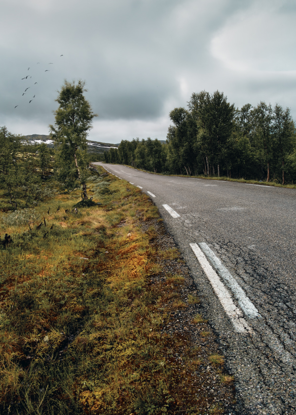 En kjøretur over Rondane , fotokunst veggbilde / plakat av Tom Erik Smedal