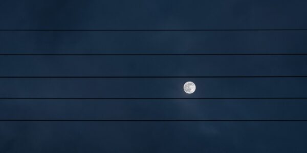 Moon on the wire, fotokunst veggbilde / plakat av Xabier Bilbao Berrojalbiz