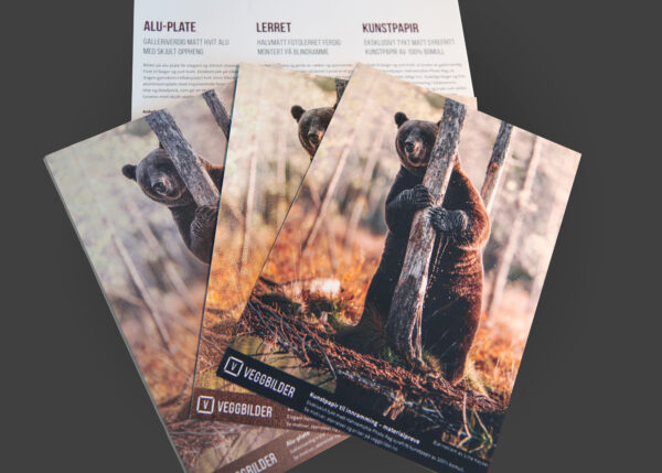 tre magasinforsider med en bjørn i skogen.