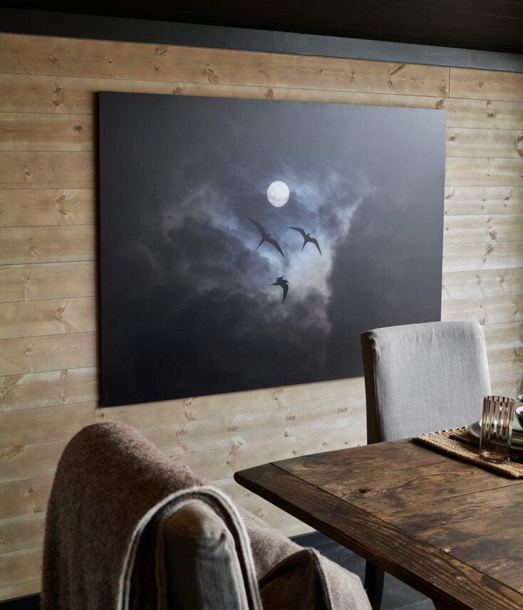 Mørke fugler, fotokunst veggbilde / plakat av Terje Kolaas