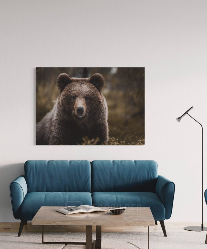 Nærbilde av brunbjørn, fotokunst veggbilde / plakat av Lina Kayser