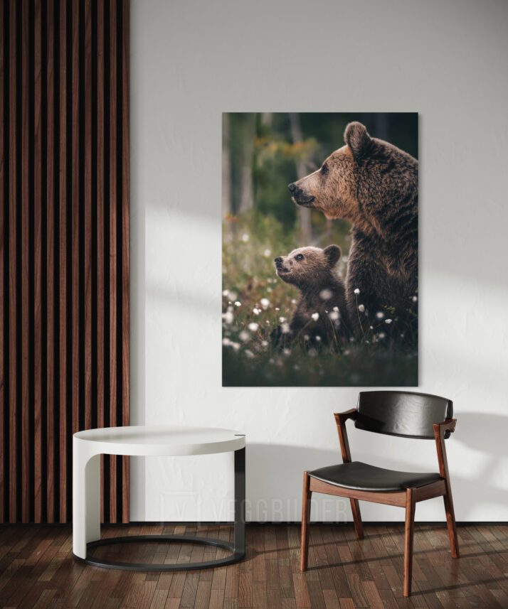 Bjørner, fotokunst veggbilde / plakat av Lina Kayser