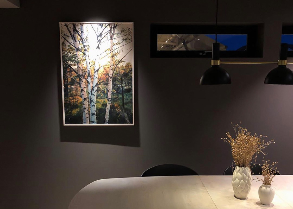 Bjørketrær med hvit bark og kveldssol i bakgrunnen, fotokunst veggbilde / plakat av Tor Arne Hotvedt