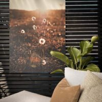 Bomullsblomster i kveldssol, fotokunst veggbilde / plakat av Tor Arne Hotvedt